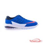Giầy Nike 849972-401