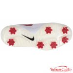 Giầy Nike AQ2196-104