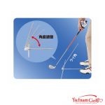 Swing Master Daiya TR-463