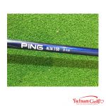 Wood Ping G SFT 3 S cũ