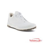 Giầy ECCO 15585411007