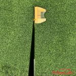 Putter Honma PP503 Steel Gold